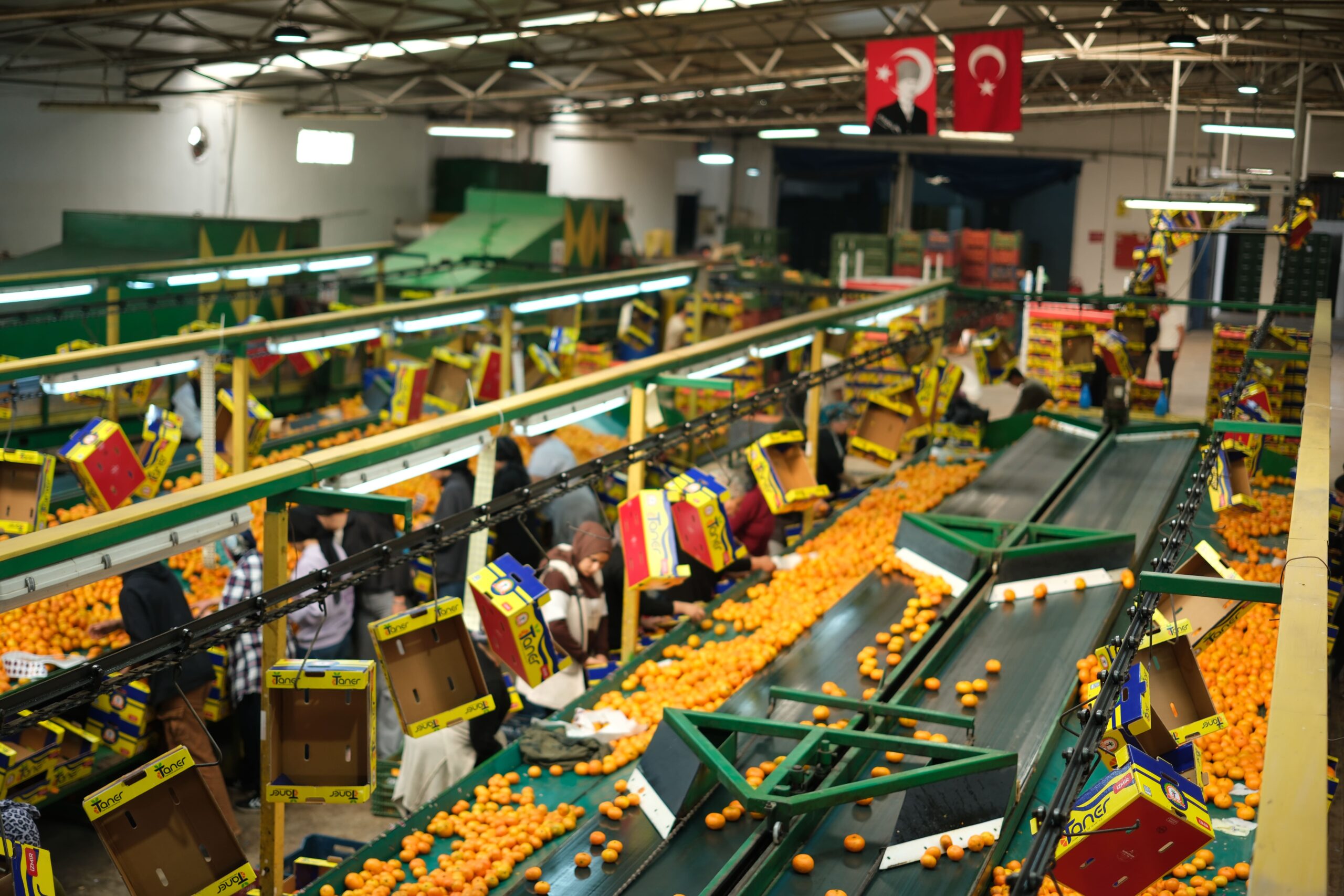 Sürdürülebilir Tarım ve İzlenebilir Tedarik Zinciri. Sürdürülebilir tarım uygulamaları, yalnızca bugünün değil geleceğin de tarımını güvence altına alır.